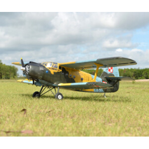 Black Horse Antonov An-2 30-35cc 2425mm vingspan