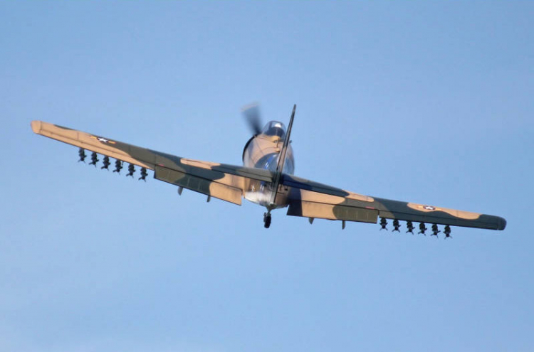 Seagull Skyraider Camo 35-60cc Bensin 2.15m ARF - Bild 3