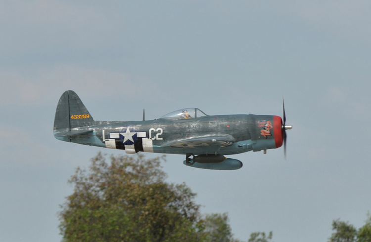 Black Horse P-47 Thunderbolt 50-60cc Bensin ARF el-landställ - Bild 7