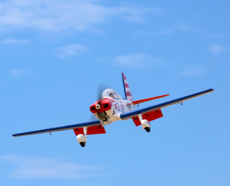 Seagull Art Scholl´s Super Chipmunk 15cc 160cm ARF - Bild 5