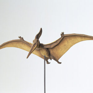 Tamiya Pteranodon 1/35 plastbyggsats – 60204