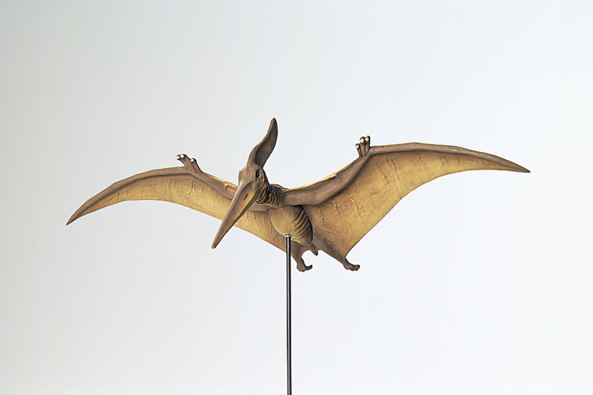 Tamiya Pteranodon 1/35 plastbyggsats – 60204